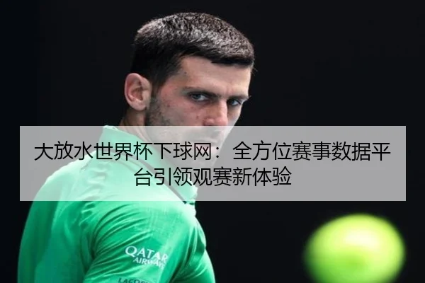 大放水世界杯下球网：全方位赛事数据平台引领观赛新体验